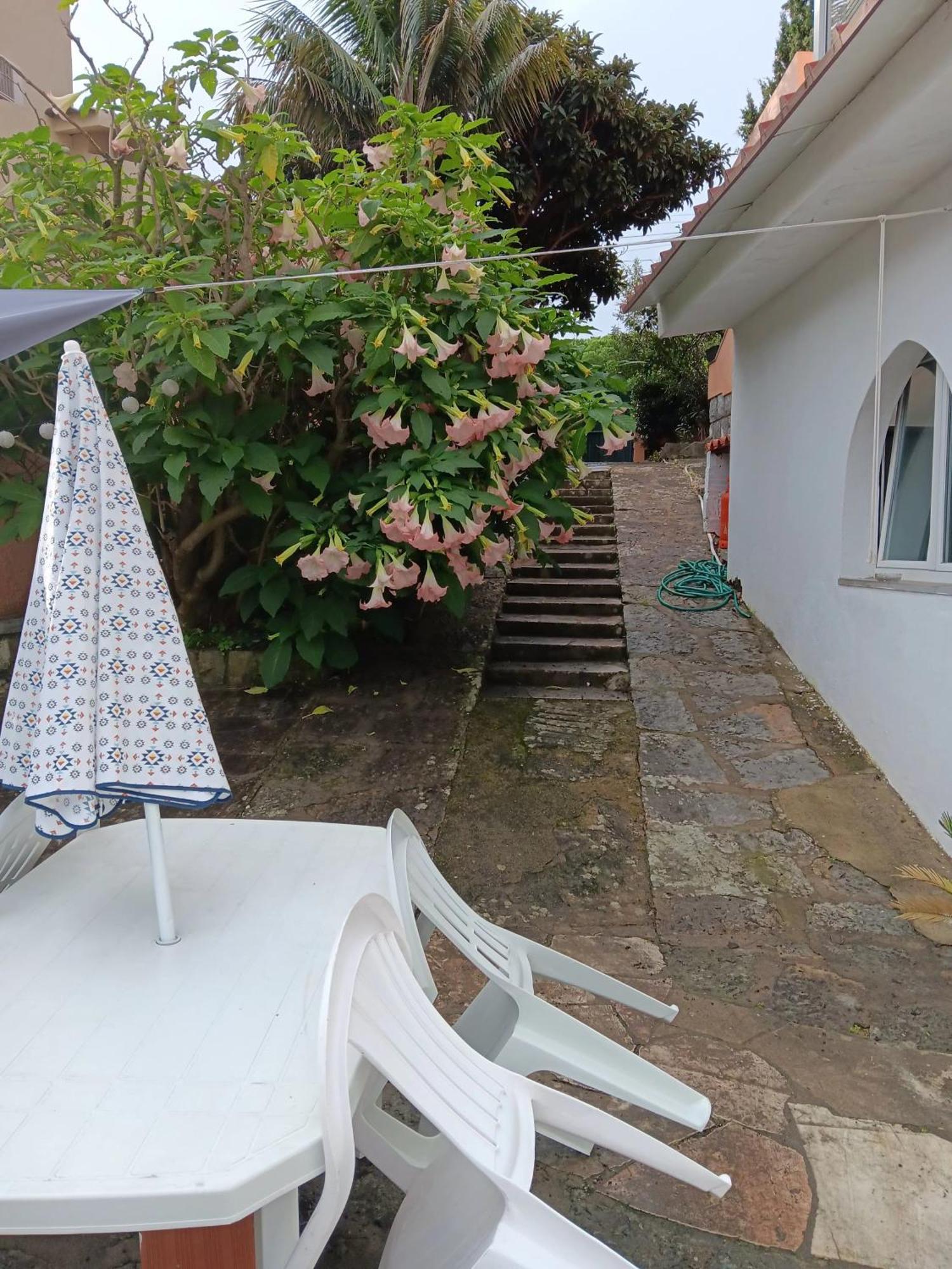 Cozy * Cascais